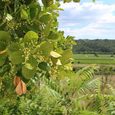 Sečovlje Vila Flora מראה חיצוני תמונה