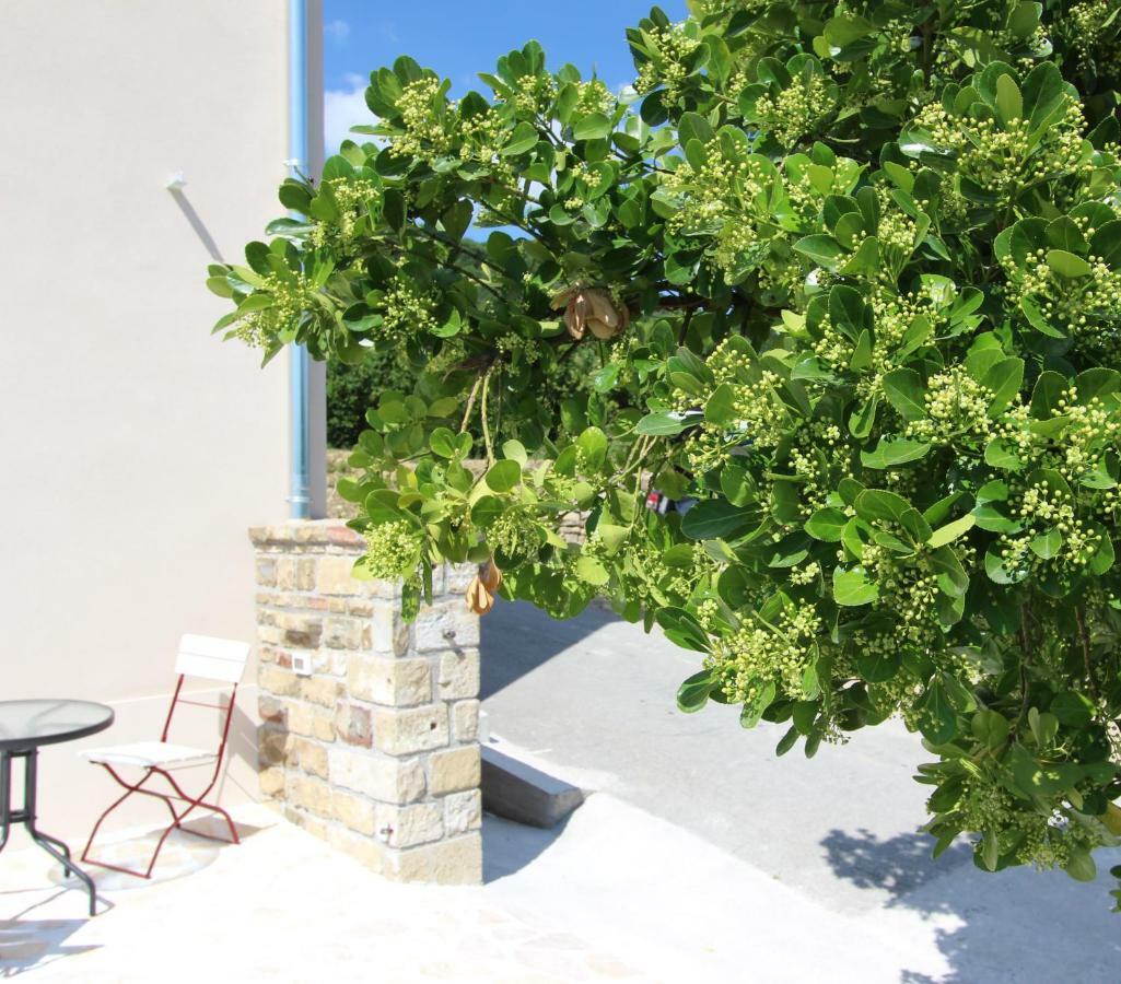 Sečovlje Vila Flora מראה חיצוני תמונה